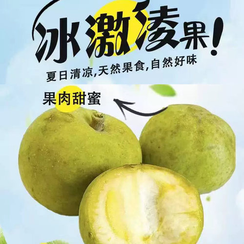 冰激凌状元红白柿子巧克力状元