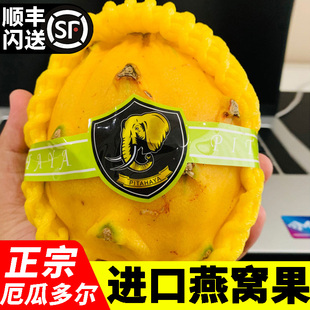 厄瓜多尔进口燕窝果新鲜麒麟果黄色火龙果春节节日礼盒送礼水果