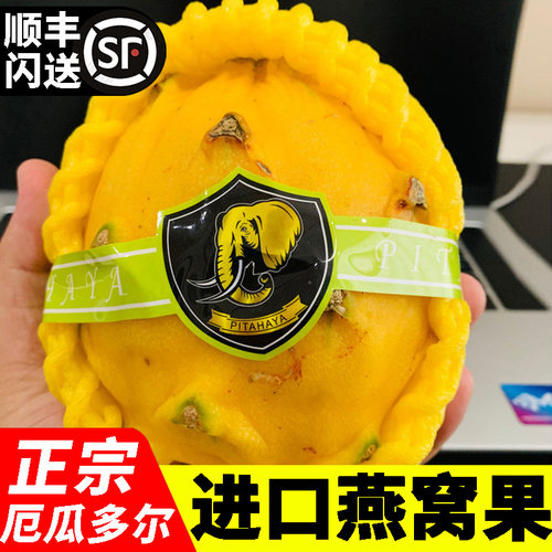 厄瓜多尔进口新鲜燕窝果特大果