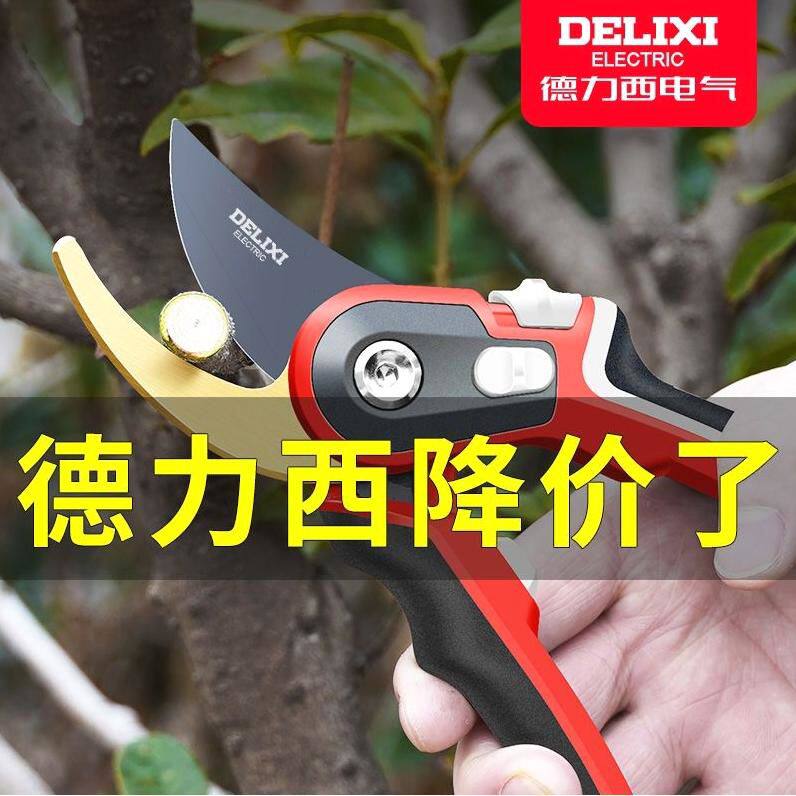 德国进口德力西剪枝剪刀强力花剪修枝剪果树修剪树枝园艺园林花艺