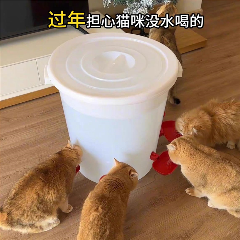 猫咪新款饮水机饮水器猫猫宠物水碗自动大容量加水喝水狗狗神器