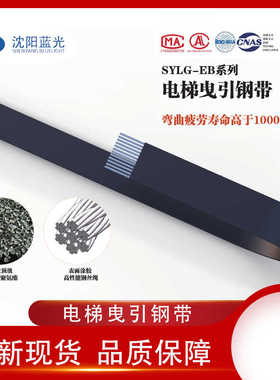 沈阳蓝光电梯钢带AAA717X X1 AM2 AP2 3  AJ2 W1 R1主机奥的斯AD1