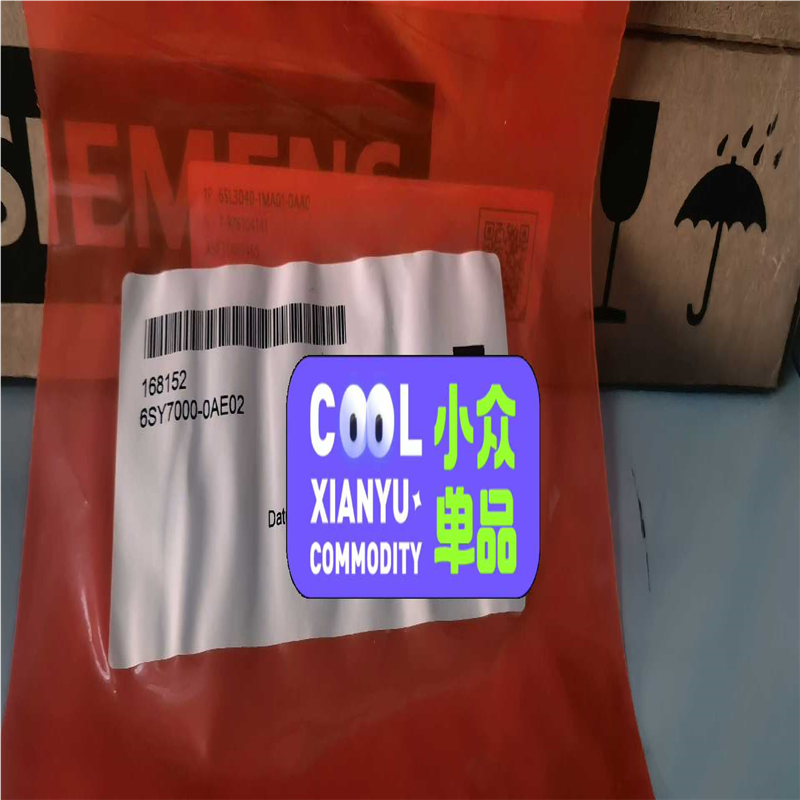 (议价)熔芯6SY7000-0AE02