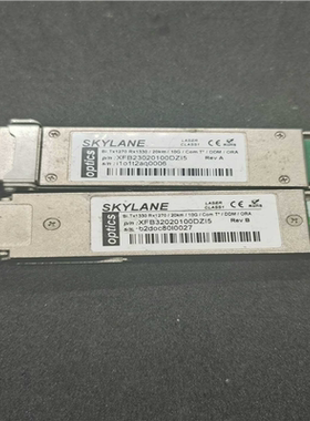 【美亚】SKYLANE  T×1270 R×1330/ 20km/1【议价】