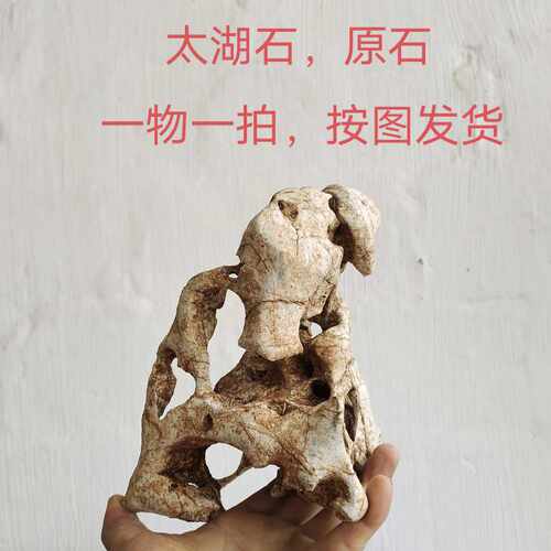 广西太湖石观赏灵壁石英石墨石玲珑石盆景附精品奇石天然原石A03