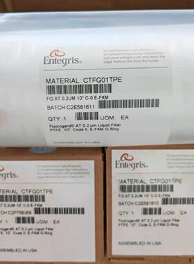 美国Entegris英特格过滤器CTFA01TPEK原装现货