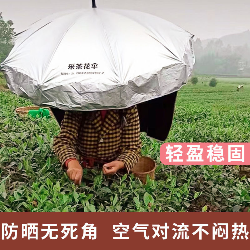 可背式遮阳伞采茶伞钓鱼伞防晒伞太阳伞防紫外线采茶神器摘茶叶雨