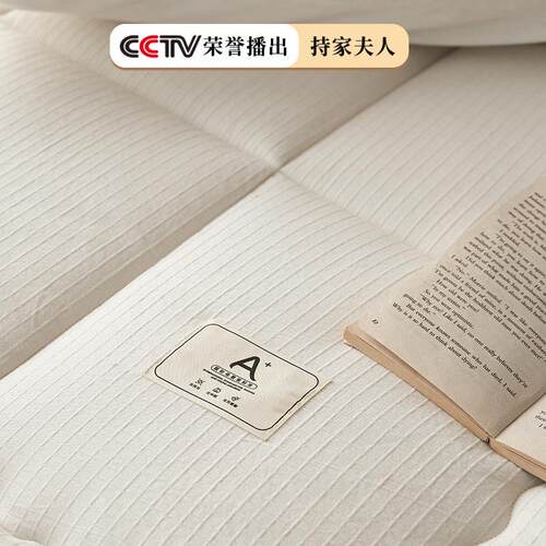 A类豆大纤维床垫软用垫家单双ENW人可折叠酒店被褥季铺底四季冬通