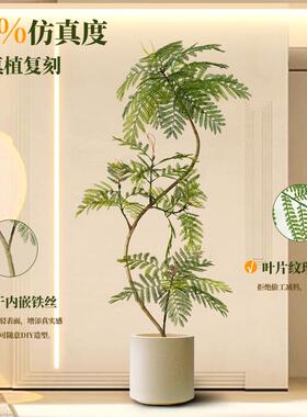 蓝花楹绿沙植真落地盆栽仿生植IWQ仿物摆件室内客厅发旁装饰盆景