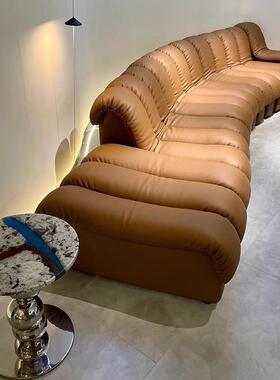 DeSed6DS0设计师e蛇形沙发0别墅大小户型中古组合弧型93494创意沙