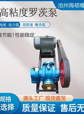 LC罗茨泵高粘送IOC度铸铁树脂甘油沥涂料油漆稠转子泵高温油泵青