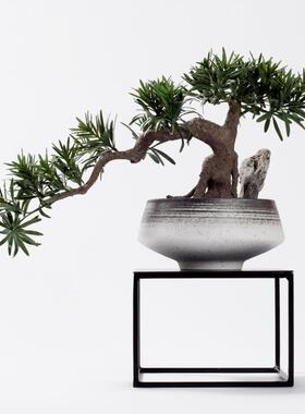 件仿真迎客松罗汉松室酒店HY1394前台盆楼景摆售处植物别墅转角内