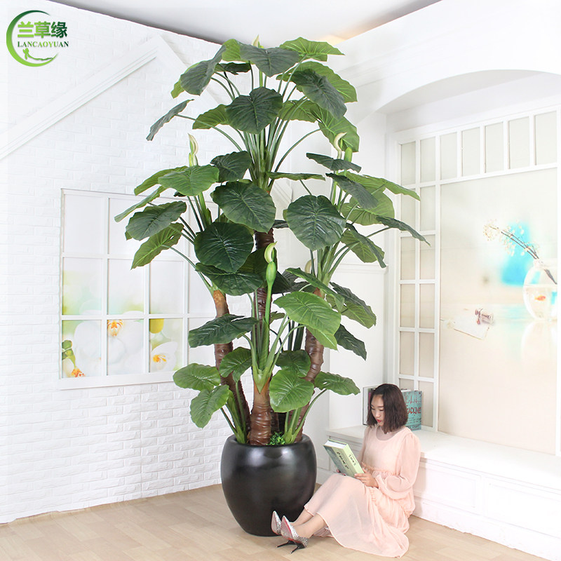 假树仿真树室内装饰滴水观音v大型植物盆景客厅摆件假绿植落地盆