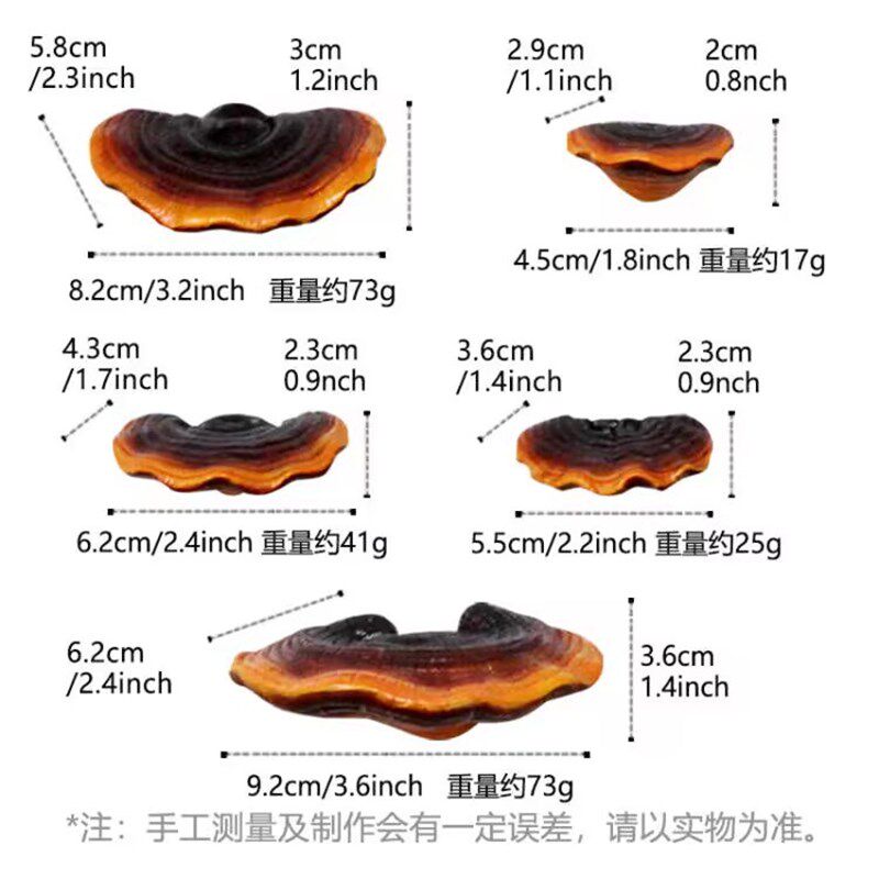 跨境新品庭院布置仿真灵芝花园装饰品H摆件别墅蘑菇树挂树脂工艺