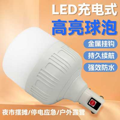 lde充电灯泡摆摊夜市灯充电电长续航地摊灯移动式户外家用露营灯