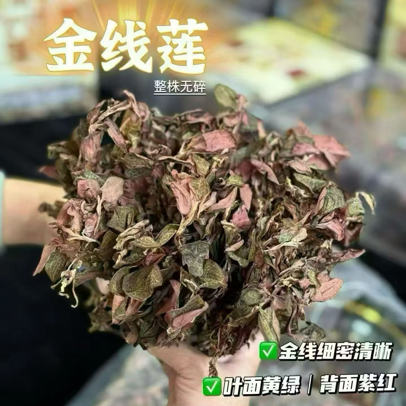正宗金线莲官方旗舰整株开花干品500克1斤福建南靖林下仿野生种植