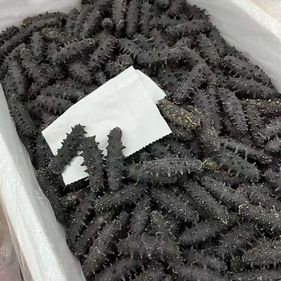 大连4A级纯淡干海参非即食海参干货500克辽参刺参滋补养生泡发参