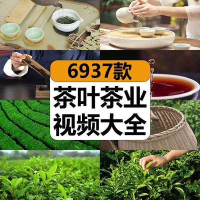 茶叶茶业短视频素材茶道图片文案脚本抖音话术茶园文化泡倒茶