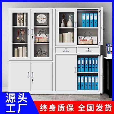 钢制铁皮资料文件柜办公室资料柜凭证柜员工档案储物柜矮柜二斗柜