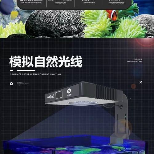 智控海洋R60日出日落海水