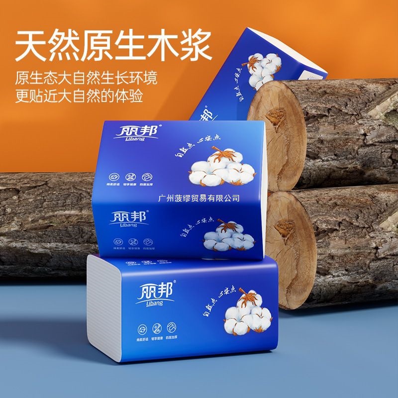 丽邦抽纸300其他无纺布浙江花香一等品