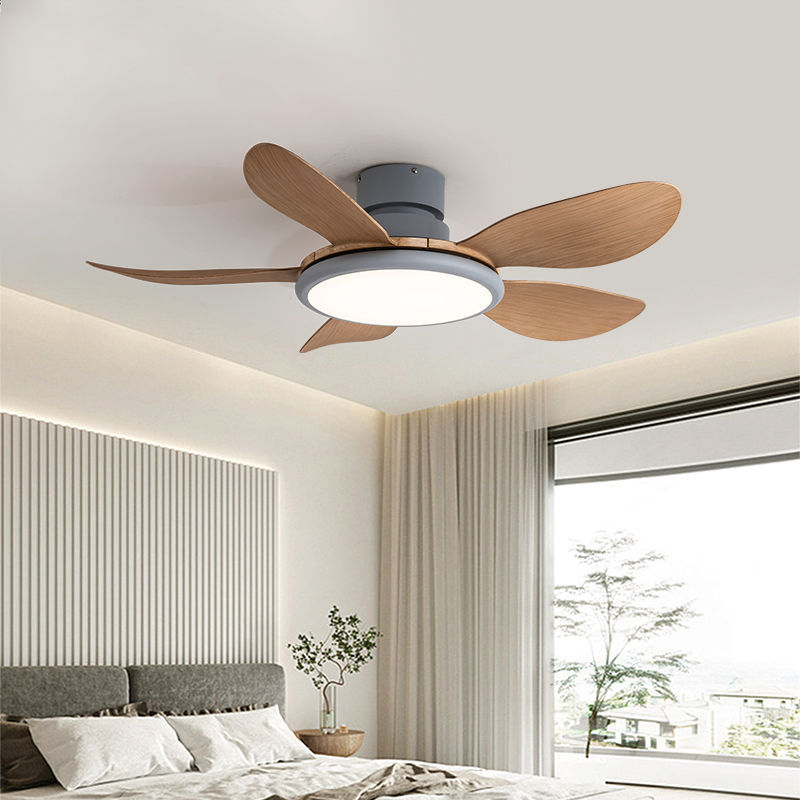 家用2024风扇吊扇吊灯变频风扇灯卧室风力餐厅新款客厅客厅一体大