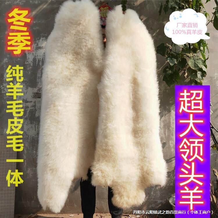 整张纯羊毛毯子沙发椅子坐垫皮毛一体飘窗垫真羊皮卧室羊绒地毯
