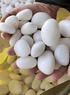 50斤抛光白色鹅卵石庭院花园铺路铺地装饰石头户外阳台造景雨E18