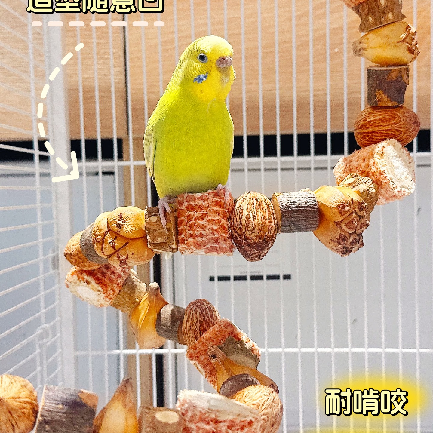 鹦鹉啃咬玩具小太阳天然解闷自嗨逗鸟架玄凤虎皮磨牙鸟笼站杆