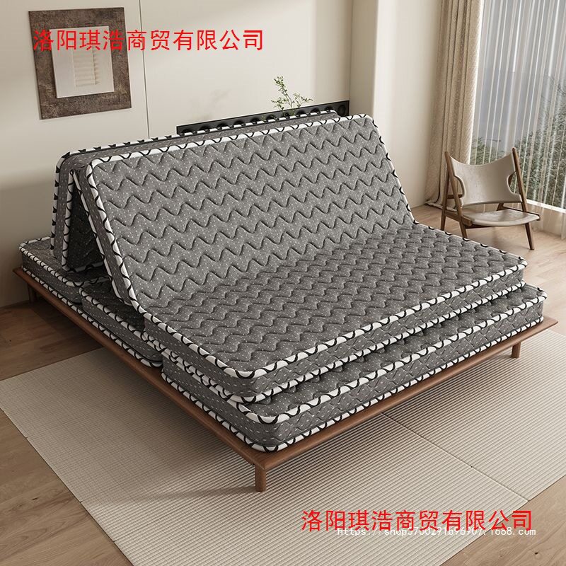 环保椰棕床垫双人棕垫.偏硬.加厚棕榈可折叠床垫