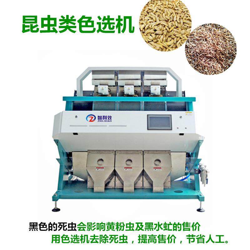 家用小型黄粉虫色选机黑水虻分色机黄粉虫死虫干虫分离机大麦虫