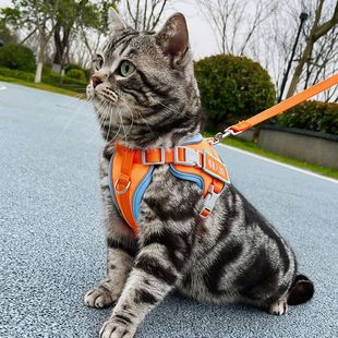 夜视反光背心式 小型犬猫咪胸背带套装 溜猫绳防丢宠物猫牵引绳批发