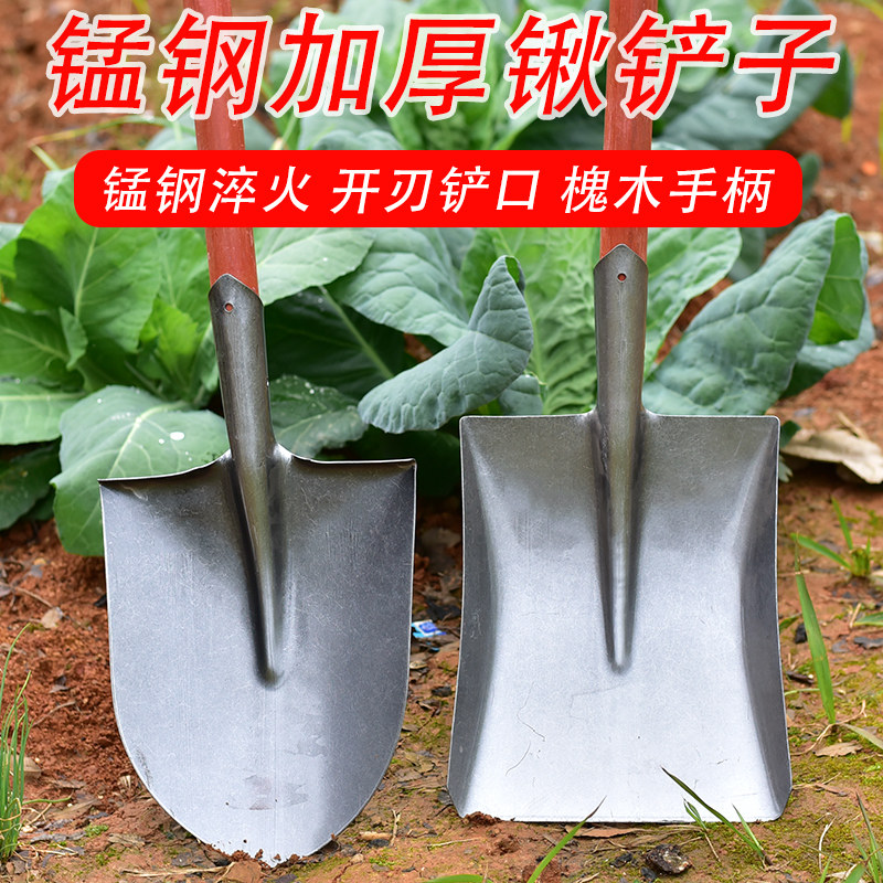 速发树林园艺锰钢山药铲户外农用挖园铲挖土木铲铁铲子平头柄铁锹
