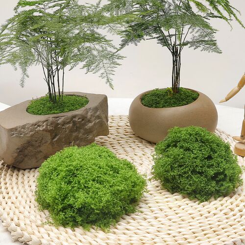 速发皮藓草苔件青苔石头块仿生摆假拍摄人工造景假山草坪盆景盆栽
