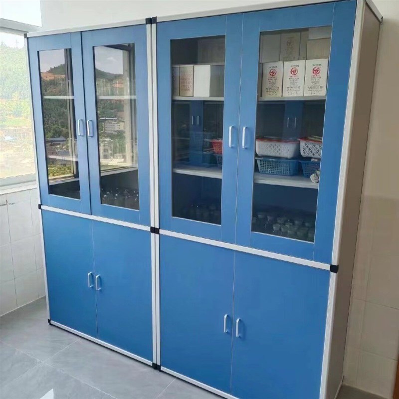 速发pp仪器柜实验室准备室仪器柜A柜 准备室工具柜柜器材柜图片