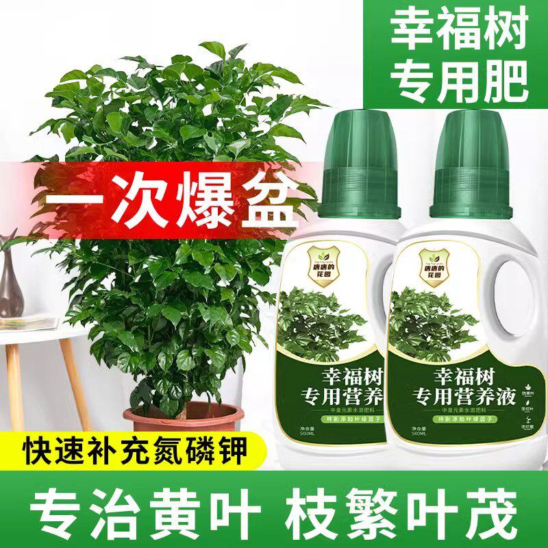 速发肥福树盆养液肥料急救治黄叶落叶黑斑防掉叶干枯花幸营栽