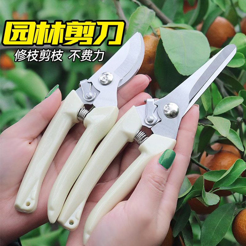 速发钢艺剪刀果树修枝剪树枝剪省力不锈园尖头接花修花嫁插专用工