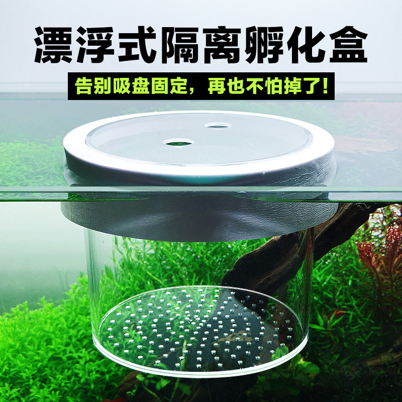 速发鱼式漂浮盒隔离缸孔雀鱼鱼缸隔离盒孵化母鱼产房饲养盒鱼苗隔