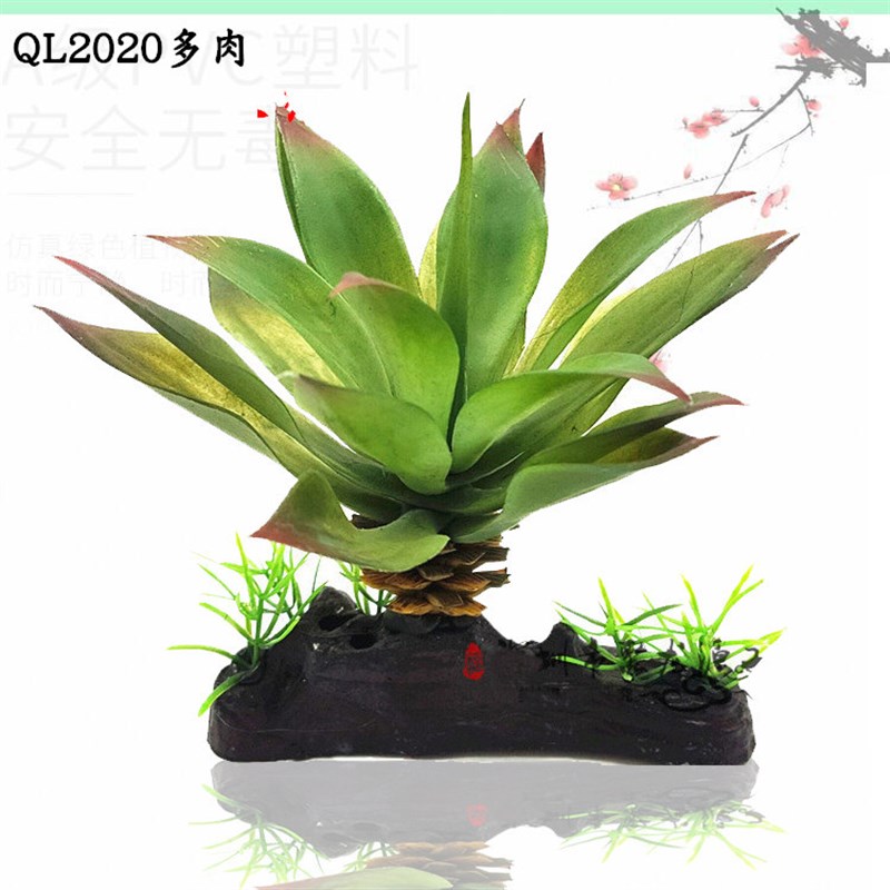 速发造景植物陆龟蜥水变色龙蛙爬虫箱水龟缸蜴草景盆多肉鱼缸