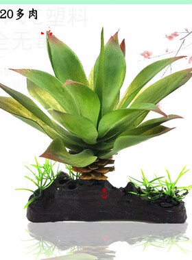 速发造景植物陆龟蜥水变色龙蛙爬虫箱水龟缸蜴草景盆多肉鱼缸