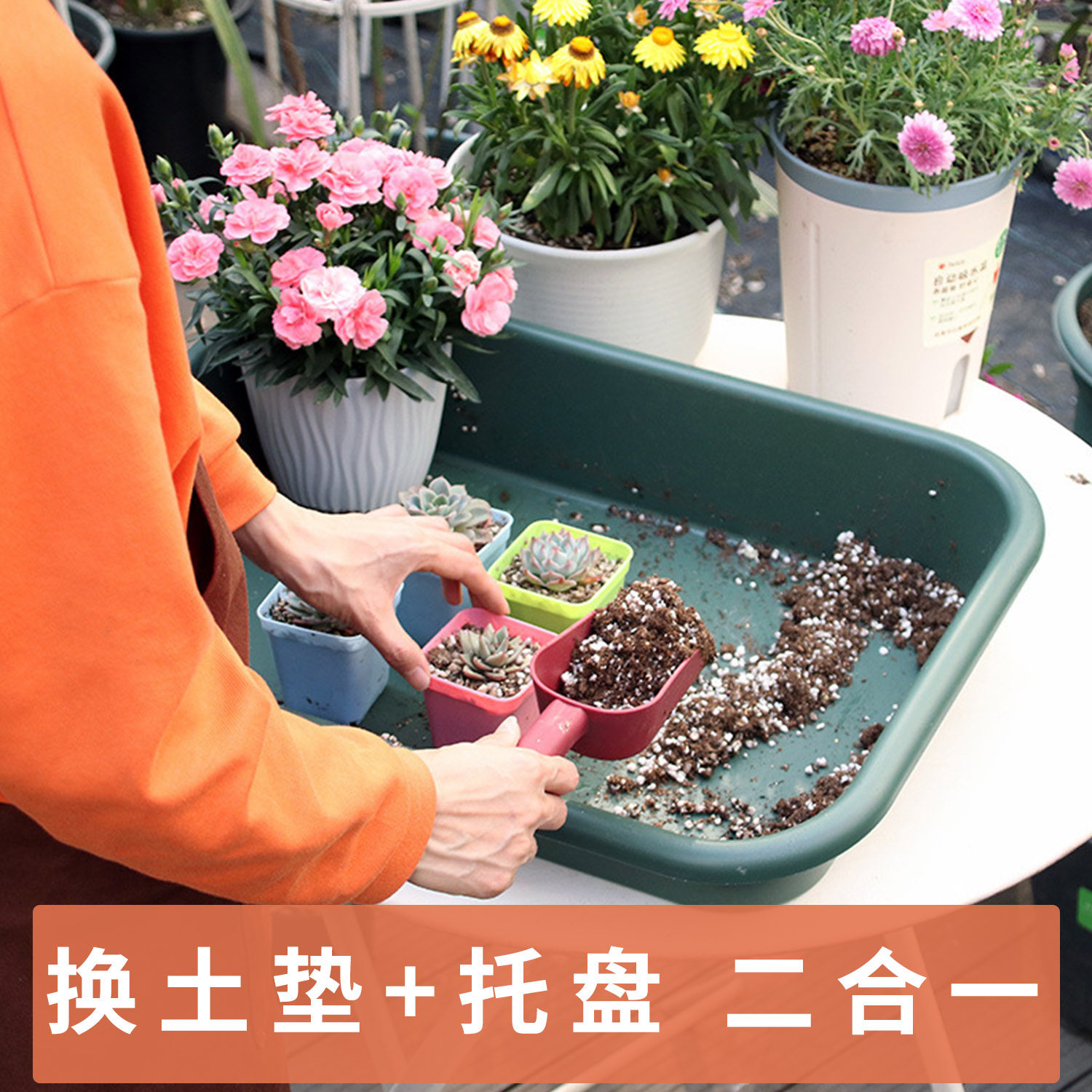 速发塑料托盘防漏种多功能浸盆园艺换土地垫土水多肉工具防植垫子