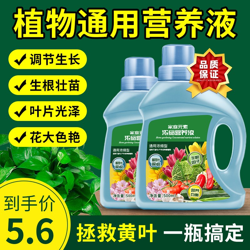 速发植物营养液通用型家用养花卉绿肥绿培水植多肉盆栽发财树萝料