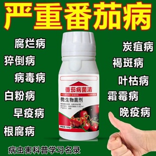 番茄病害番茄病菌清疫病灰霉病立枯病炭疽病褐斑病西红柿防治药