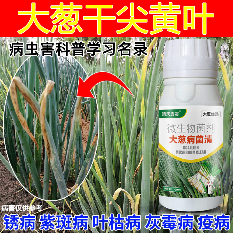 大葱病菌清微生物菌剂大葱小葱干尖黄叶锈病白斑病农用杀菌叶面肥
