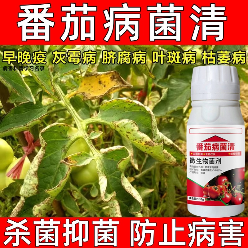 番茄病菌清西红柿病毒病杀菌药立枯病叶霉病疫病叶斑病枯萎病正品