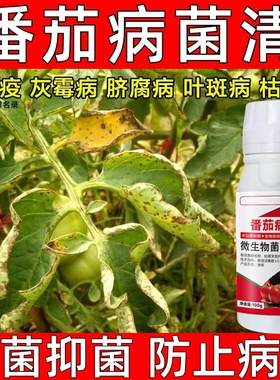 番茄病菌清西红柿病毒病杀菌药立枯病叶霉病疫病叶斑病枯萎病正品