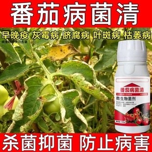 番茄病菌清西红柿病毒病杀菌药立枯病叶霉病疫病叶斑病枯萎病正品