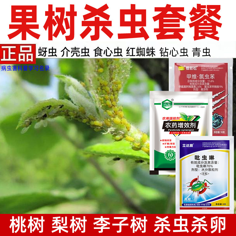柑橘树李子树通用杀虫剂