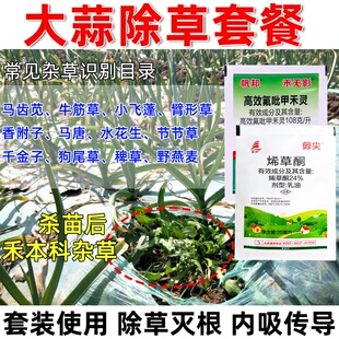 大蒜苗后除草剂蒜苗地除草烂根剂除草封草牛筋草马苋齿马唐除草药