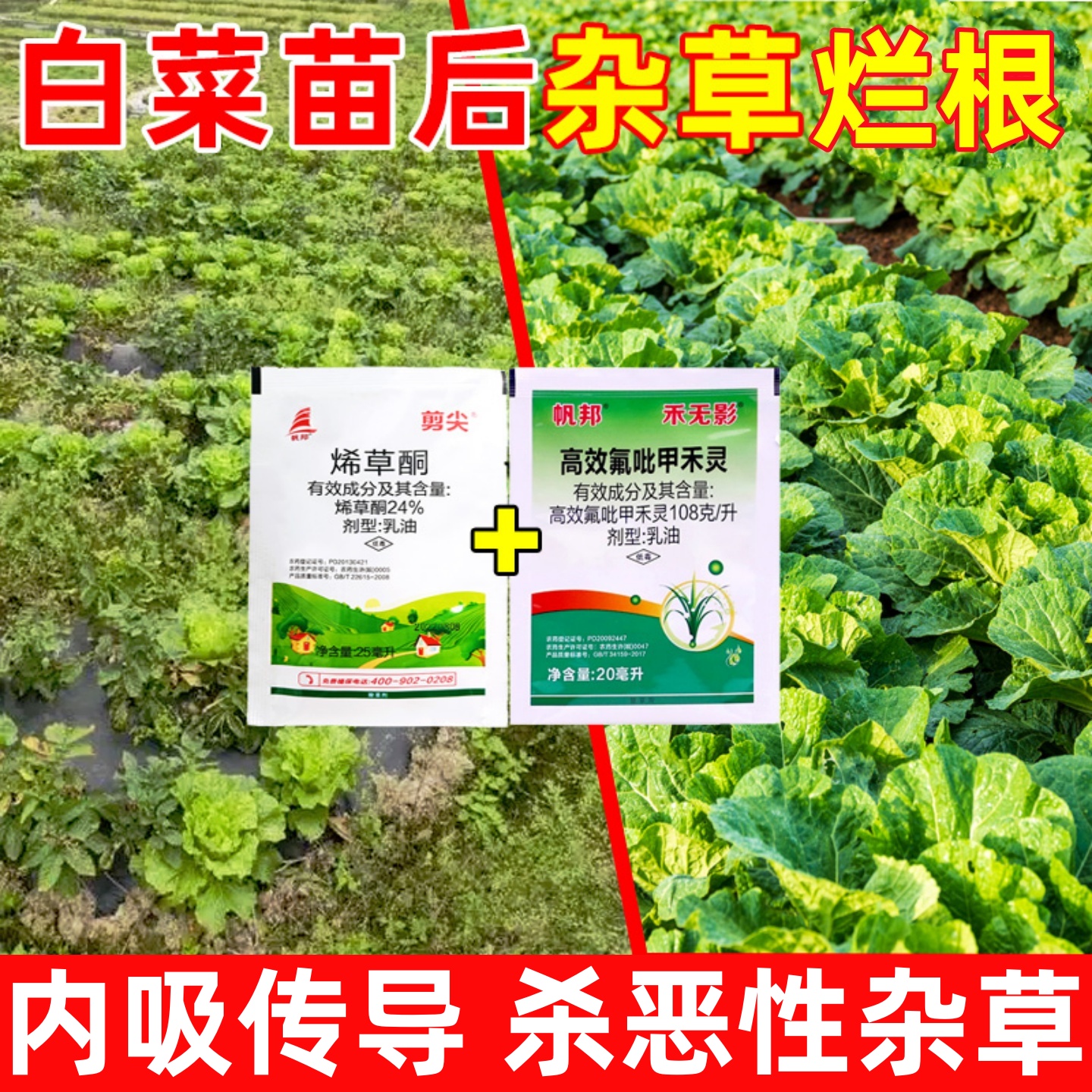 白菜苗后除草烂根剂香附子马苋齿